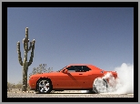 Kaktus, Dymu, Dodge Challenger, Kłęby